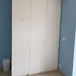 Estrella Do Camino *