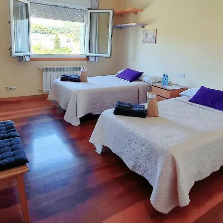 Estrella Do Camino *